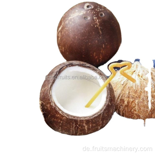 Vollautomatische Kapaktität Kokosmilchverarbeitungsanlage
